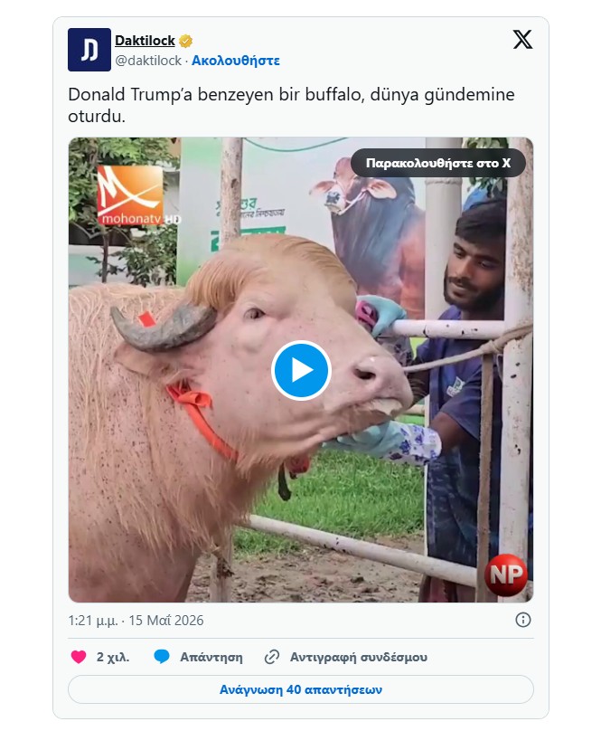 Bufff.jpg